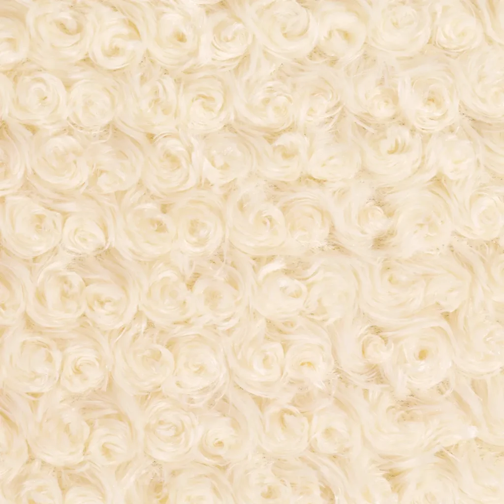 Cream Swirls Twist Rose-1