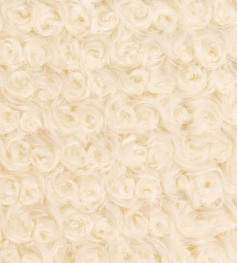 Cream Swirls Twist Rose-1