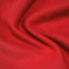 Red Fleece 2 Sided Brushed Fabric-GTR2-BK1743Z-2