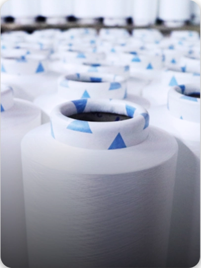 Premium Polyester Quality