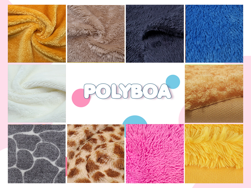 POLYBOA